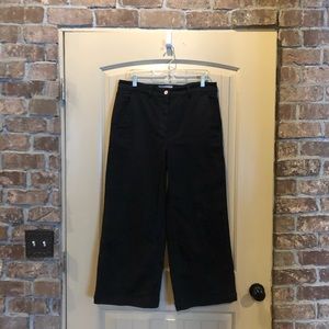 Everlane Wide Leg Crop Pant